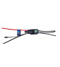 BlueJet Thunder 50Amps