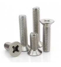 SS Set of M3 X 6mm Countersunk Phillip Drive Pan Head Bolt (25 pcs)