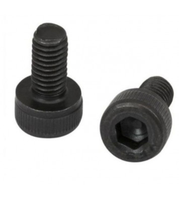 ThunderBolt Set of M4 X 15mm Socket Head Cap Black (Allen) Bolt and Nut (10 pcs)