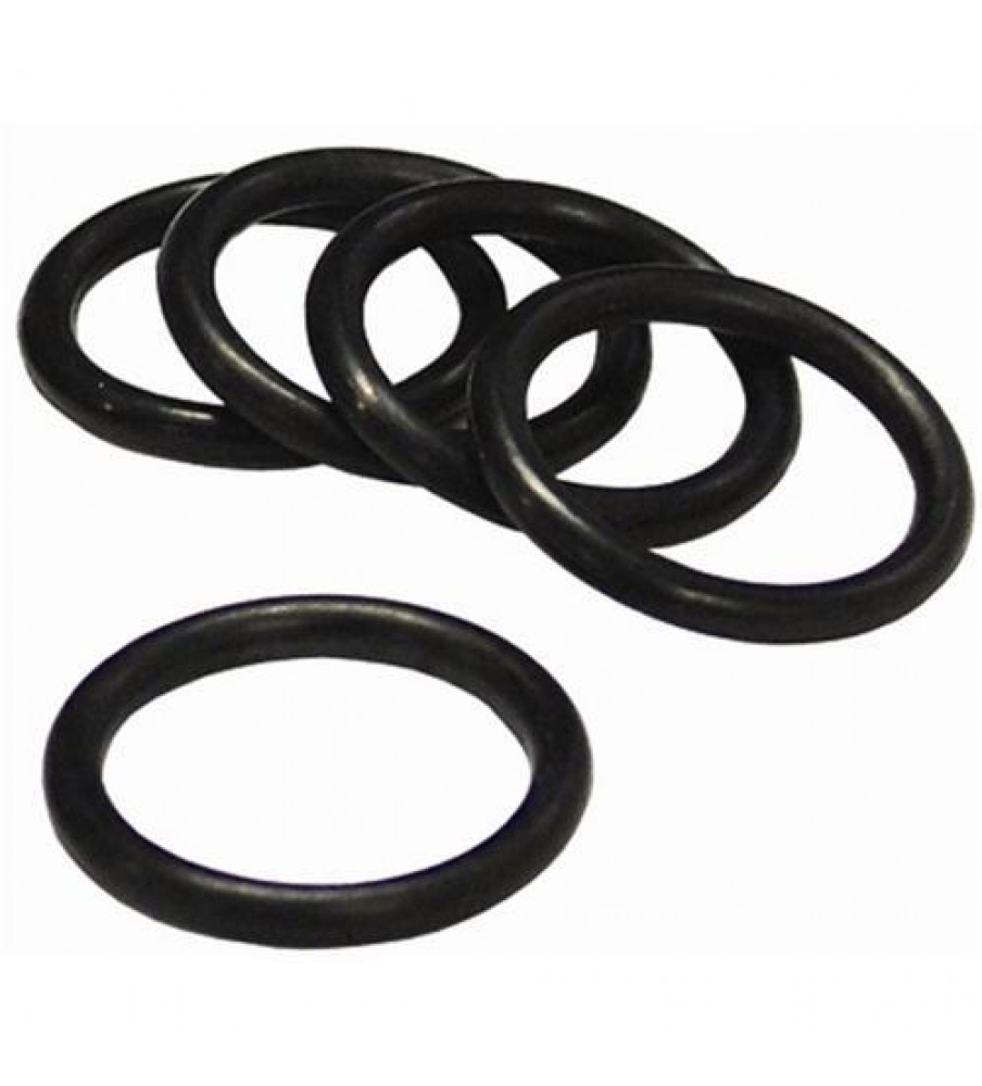 Viton O Ring, Size: 25mm at Rs 15/piece in Ahmedabad | ID: 23796920091