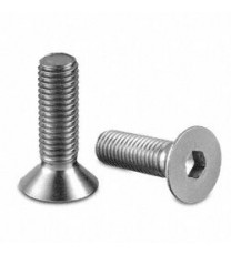 SS Set of M4 X 25mm Countersunk Hex Socket Head Bolt (25 pcs)