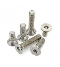 SS Set of M4 X 10mm Countersunk Hex Socket Head Bolt (25 pcs)