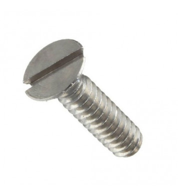 MS Set of M3 Slotted Pan Head Bolt and Nut (25 pcs)